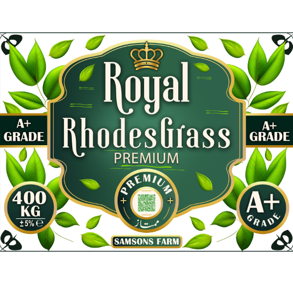 royal rhode grass
